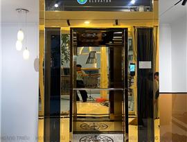 Thang máy Nanolift 300kg lắp đặt tại Q7