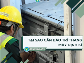 Bảo trì thang máy gia đình định kỳ