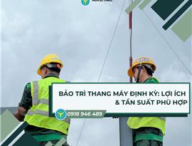 Bảo trì thang máy định kỳ: Lợi ích & tần suất phù hợp