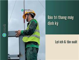 Bảo trì thang máy định kỳ: Lợi ích & tần suất phù hợp