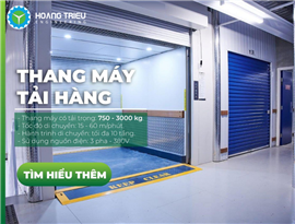 Cabin Mẫu Thang Máy Tải Hàng