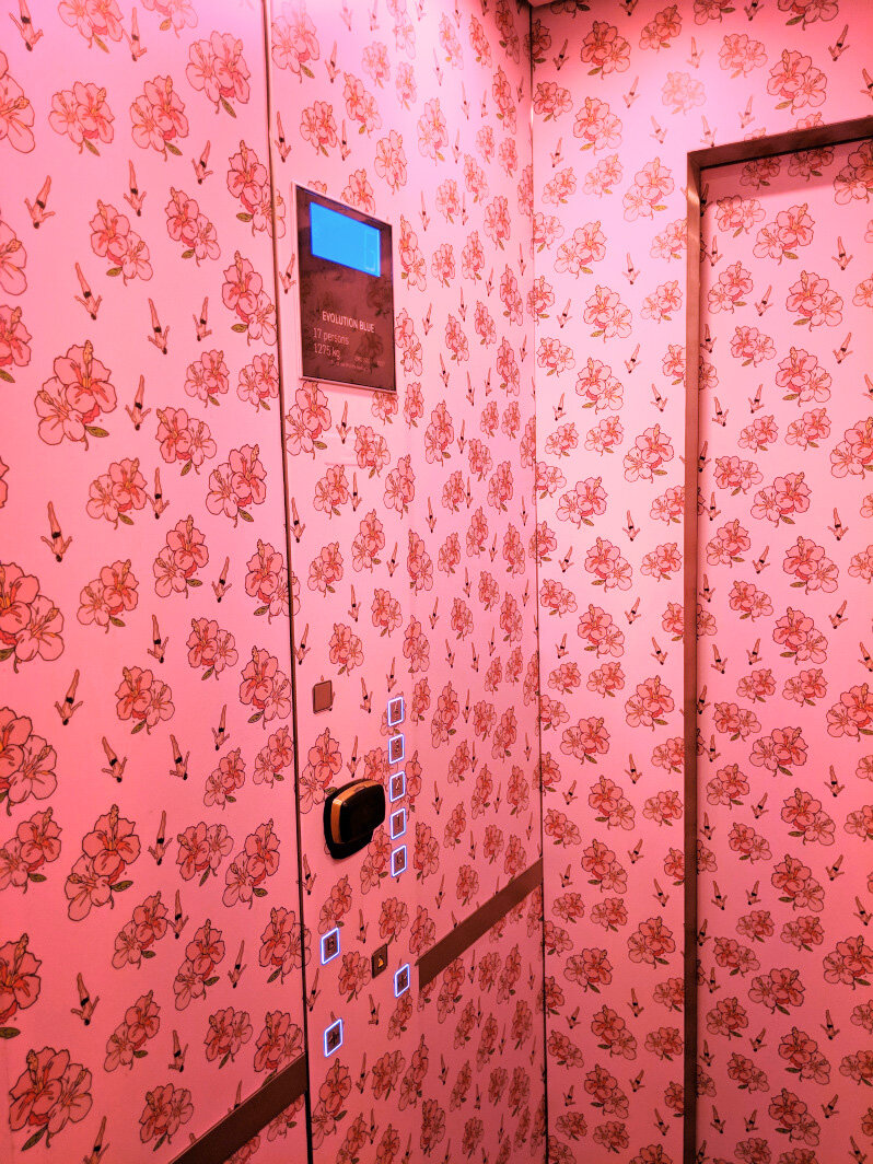 Trang trí nội thất thang máy vô cùng ấn tượng | Thang máy Hoàng Triều